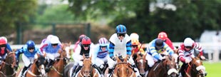 Racebook